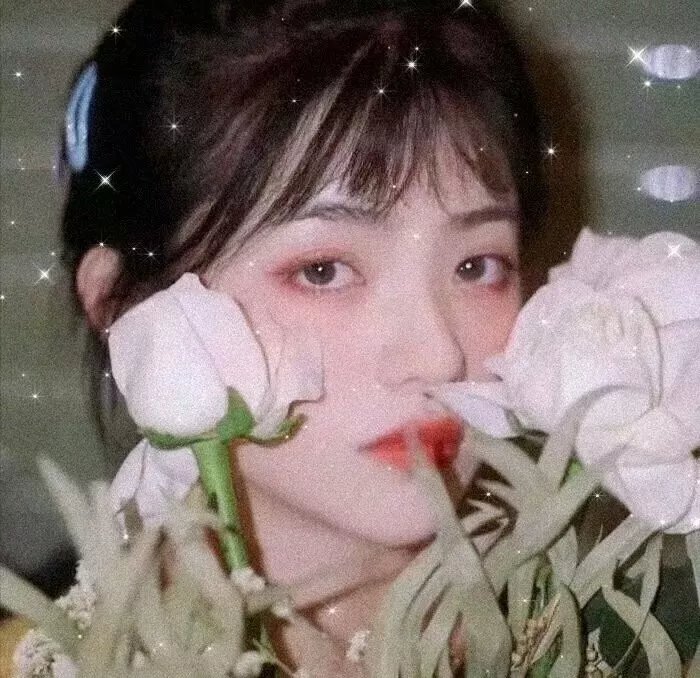 陆昭昭的刺客笔记